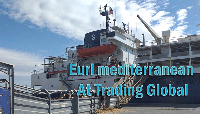 Eurl Mediterranean At Trading Global
